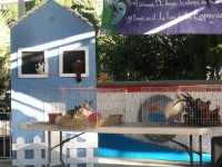 /album/fotogaleria/a100-3253-jpg/